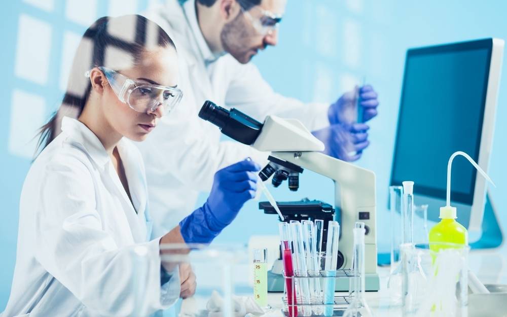 How using an in silico model actually makes drug discovery faster and safer